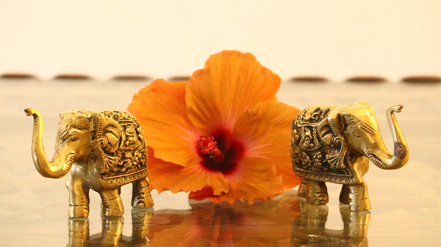Brass Elephant Statue (Set of 2)
